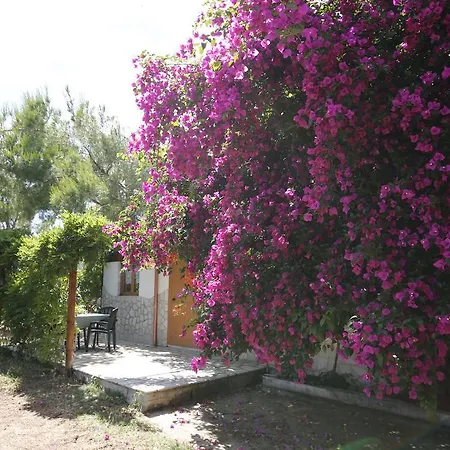 Posta Pastorella Agroturismo Vieste